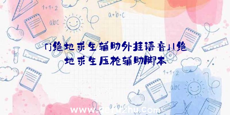 「j绝地求生辅助外挂语音」|绝地求生压枪辅助脚本